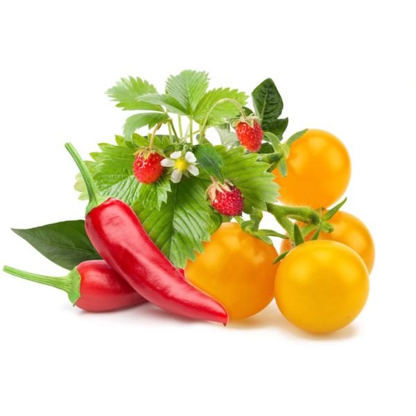 E-shop Click and Grow mix ovocia & zeleniny