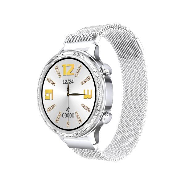 Carneo Gear+ Deluxe smart hodinky, strieborné