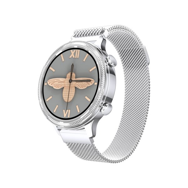 Carneo Gear+ Deluxe smart hodinky, strieborné