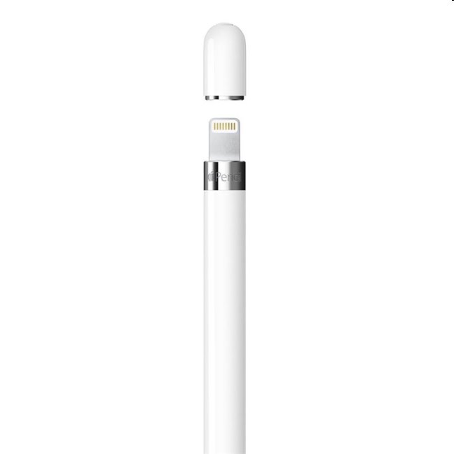 Apple Pencil (1st Generation) + USB-C adapter