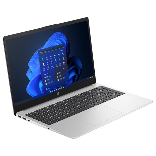 HP 250 G10 notebook, N100, 15,6" FHD, 4 GB/128 GB SSD, UHD, W11P EDU, strieborná