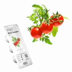 Smart Garden Mini Tomato